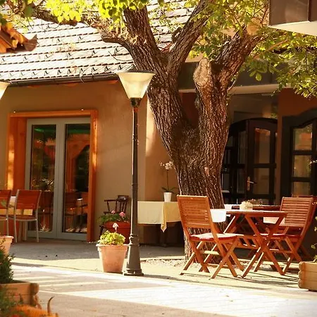 Gostilna Zolnir Gasthof Kostanjevica na Krki